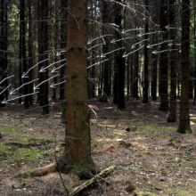 De Jagt - Susanne Ruoff © Stichting Natuurkunst Drenthe