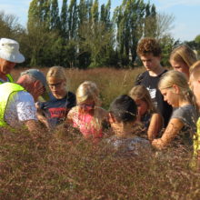 Vrijwilligers Werven 4