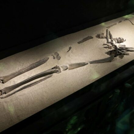 Het oudste skelet van Nederland en de Romeinse Limes in Klokhuis