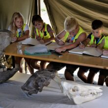 Jonge Archeologen Club